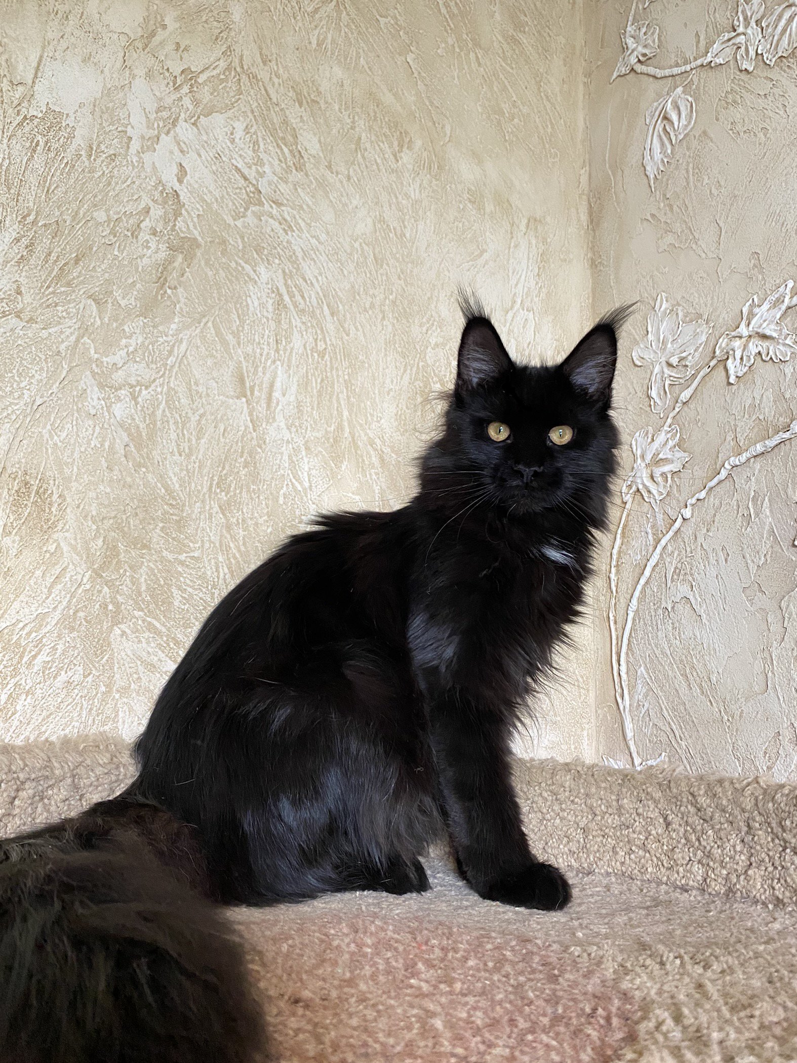 Kira Dar Kata-Lei.RU