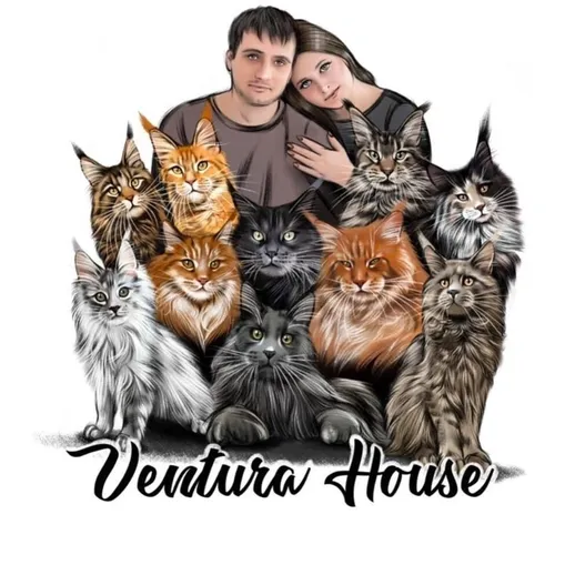 Ventura`s House — питомник Мейн-кун