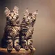 Of Furry hunter