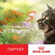 Katrin's Tails*RU