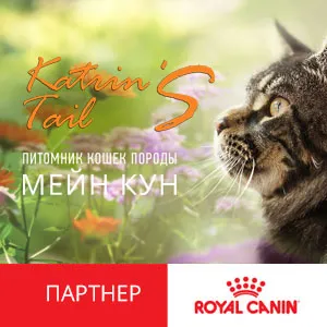 Katrin's Tails*RU — питомник Мейн-кун
